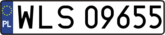 WLS09655