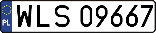 WLS09667
