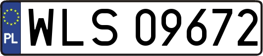 WLS09672
