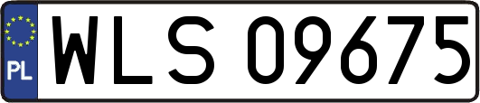 WLS09675
