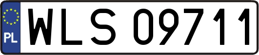 WLS09711