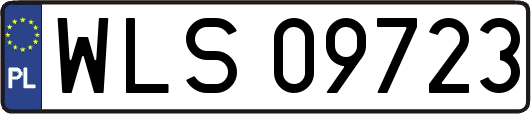 WLS09723