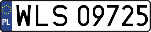 WLS09725