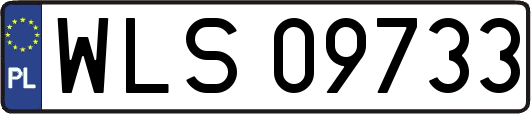 WLS09733