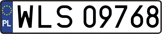 WLS09768
