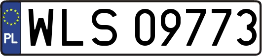 WLS09773