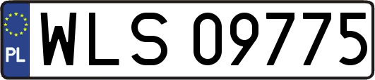 WLS09775