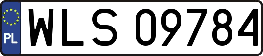 WLS09784