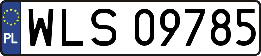 WLS09785