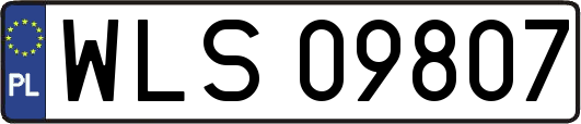 WLS09807