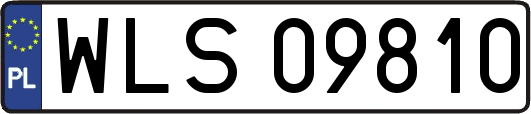 WLS09810