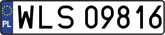 WLS09816