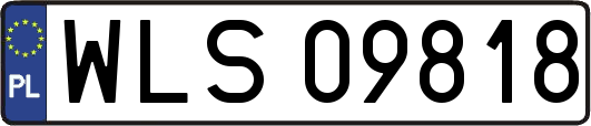 WLS09818