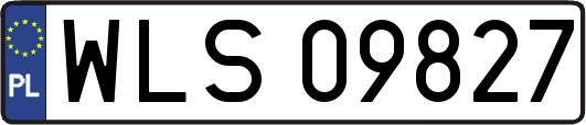 WLS09827