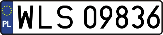 WLS09836