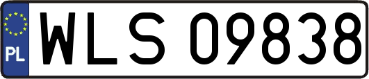 WLS09838