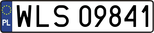 WLS09841