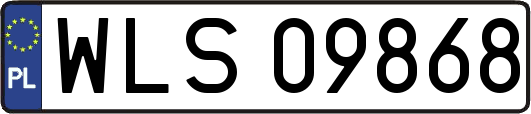 WLS09868