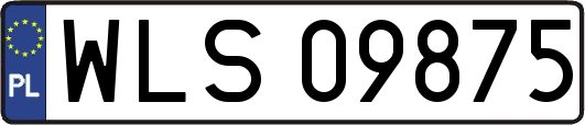 WLS09875