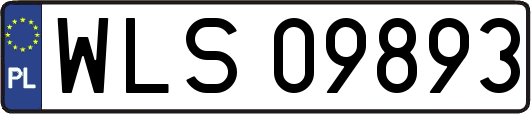 WLS09893