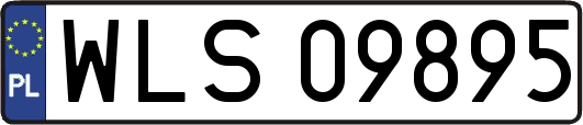 WLS09895
