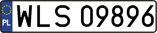 WLS09896