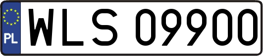WLS09900