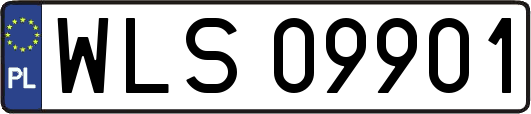 WLS09901