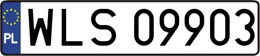 WLS09903