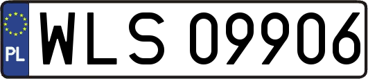 WLS09906