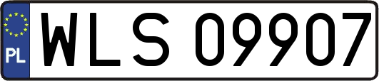 WLS09907