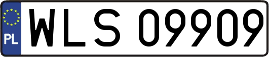 WLS09909