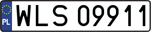 WLS09911