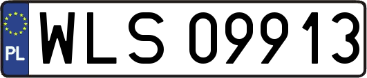 WLS09913