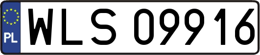 WLS09916