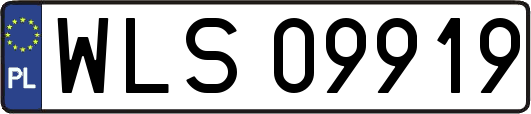 WLS09919