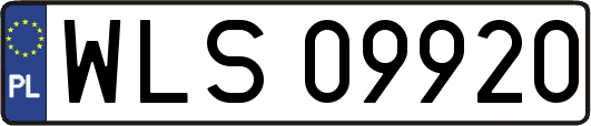 WLS09920