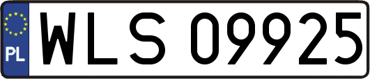 WLS09925