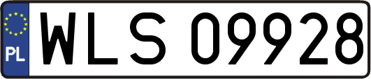 WLS09928