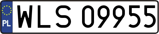 WLS09955