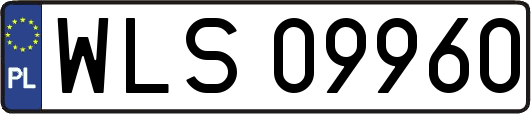 WLS09960