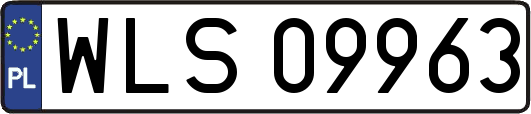 WLS09963