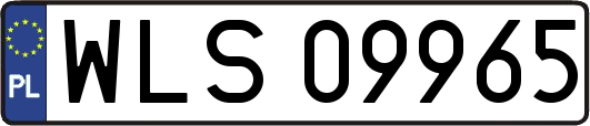 WLS09965