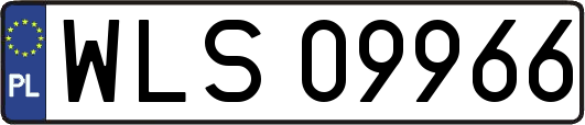 WLS09966