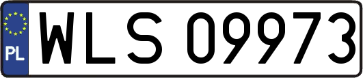 WLS09973