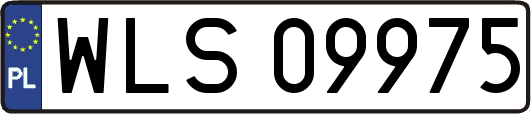 WLS09975