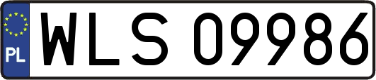 WLS09986