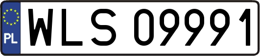 WLS09991
