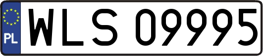 WLS09995