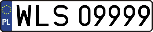 WLS09999